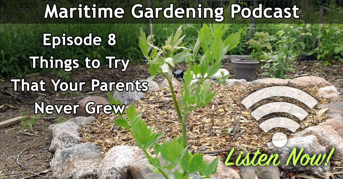 Maritime Gardening Podcast Episode 8