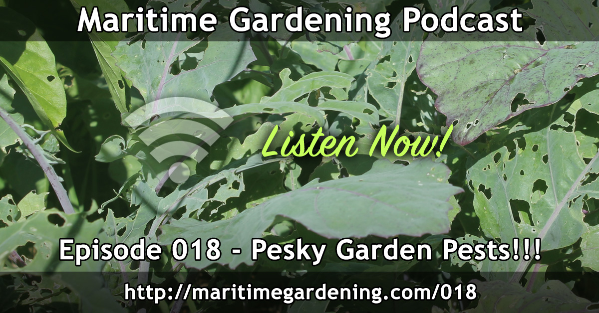 Ep 18: Pesky Garden Pests!!!
