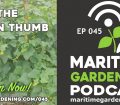Podcast Episode 45 - The Green Thumb