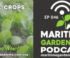 Podcast Episode 46 - Fall Crops