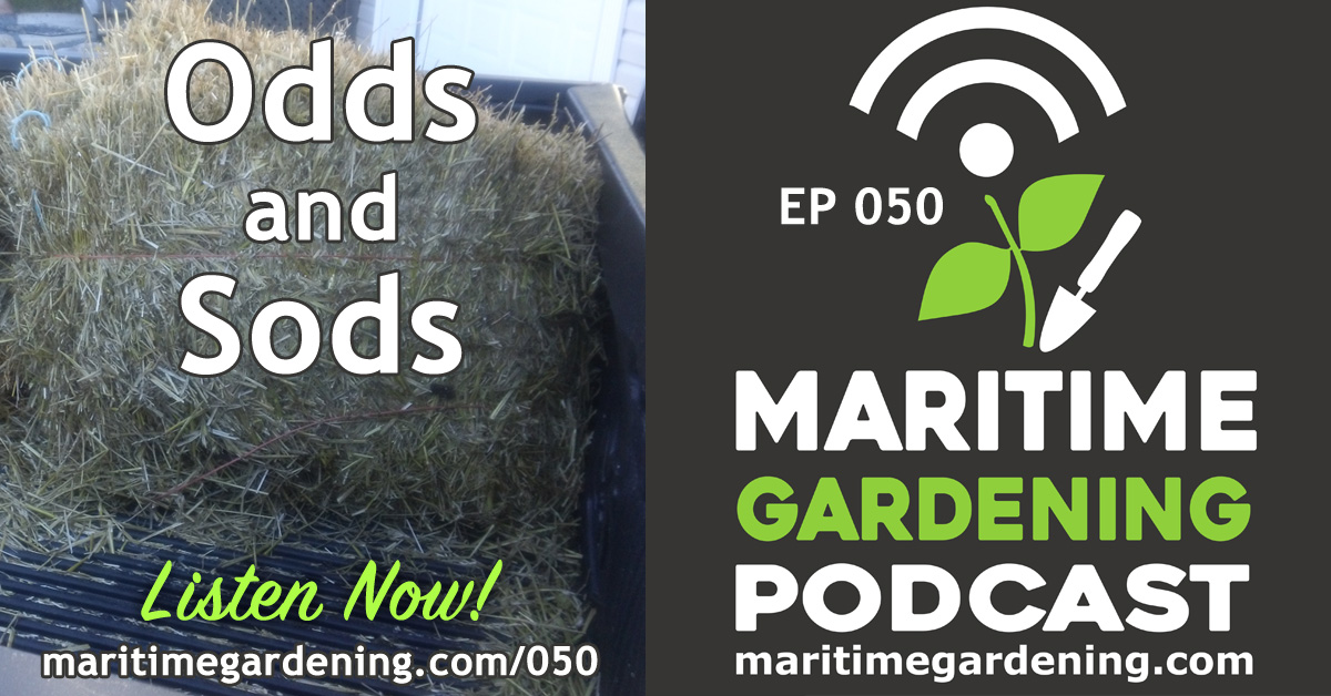 Episode 50 - Odds & Sods - Maritime Gardening Podcast