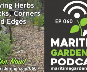 MG060 - Growing Herbs In Cracks, Corners and Edges