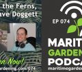 MG74 Podcast - Behind the Ferns, with Dave Doggett