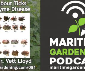 All About Ticks and Lyme Disease with Dr. Vett Lloyd