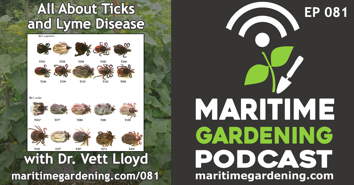 All About Ticks and Lyme Disease with Dr. Vett Lloyd