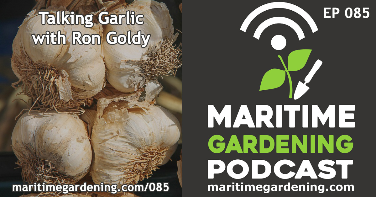Episode 85 Maritime Gardening Podcast - Ron Goldy