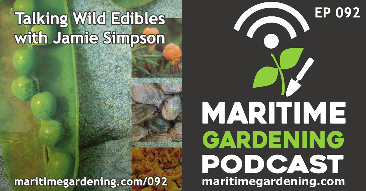 MG92: Talking Wild Edibles with Jamie Simpson