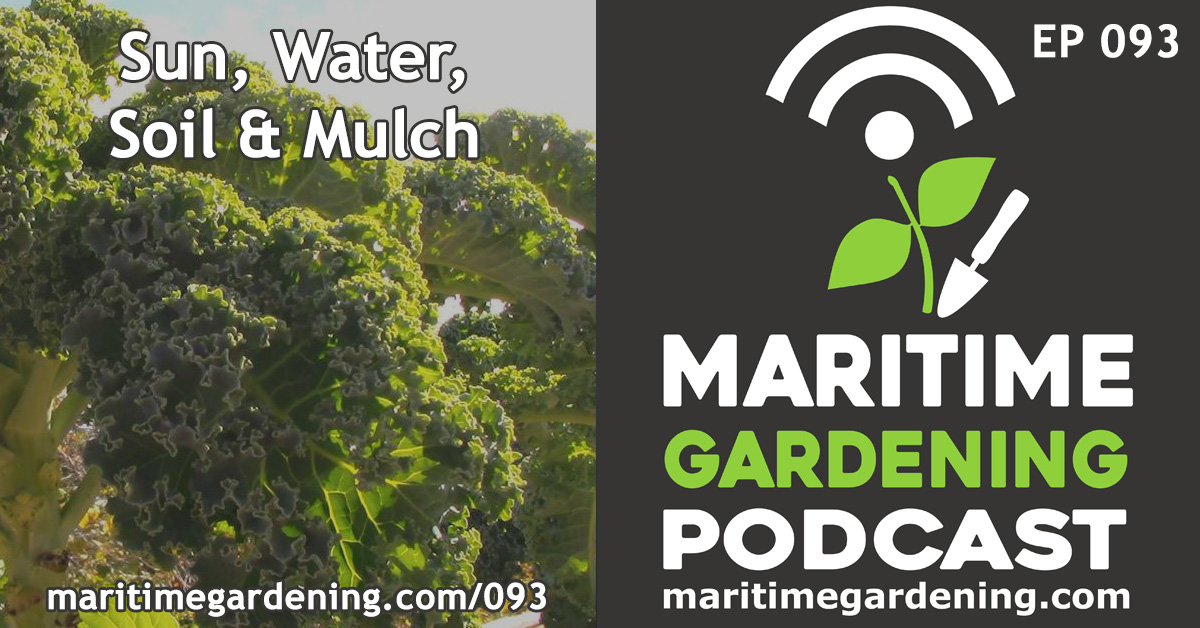 Podcast Episode 93 - Sun, Water, Soil & Mulch