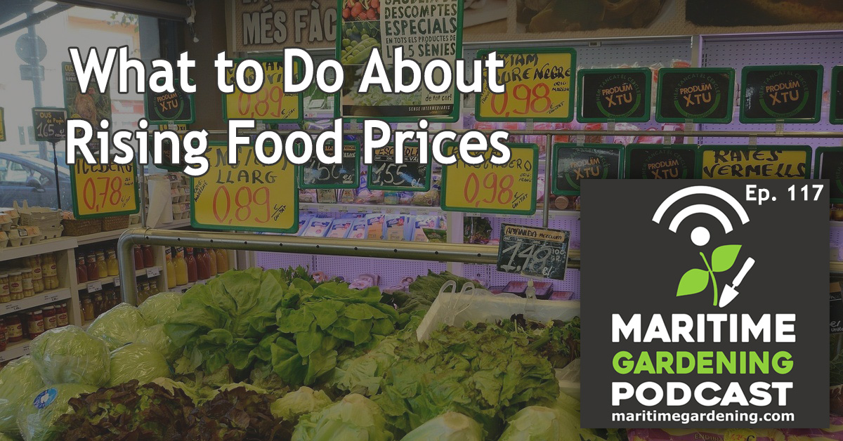 Episode 117: What to Do About Rising Food Prices