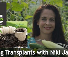 121: Talking Transplants with Niki Jabbour