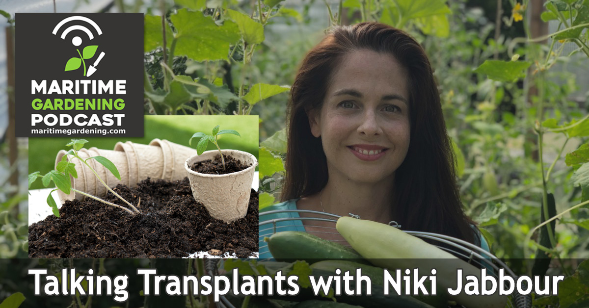 121: Talking Transplants with Niki Jabbour