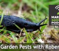 Episode 123 - Garden Pests with Robert Pavlis