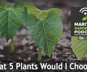 125: What 5 Plants Would I Choose?