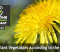 Episode 133 - When to Plant Vegetables According to the Dandelion