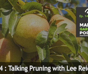Talking Pruning with Lee Reich