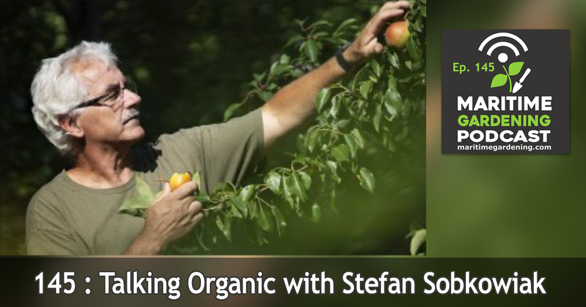 Talking Organic with Stefan Sobkowiak