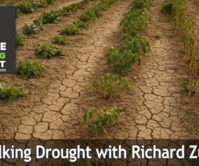 158: Talking Drought with Richard Zurawski